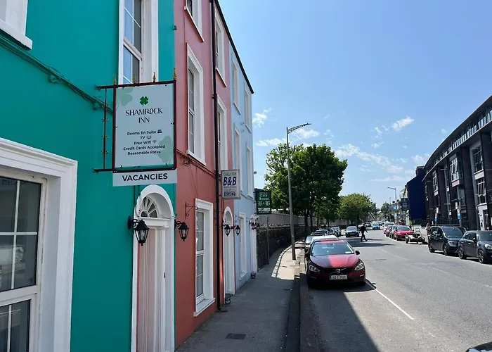 Shamrock Gæstehus Cork