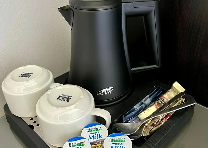 Gæstehus Shamrock Cork